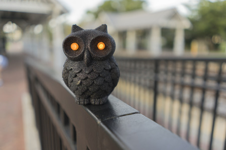 Spooky Dark Owl With Yellow Eyesの写真素材