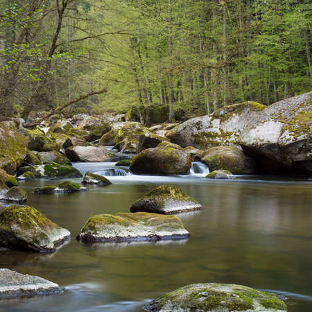 Nature Riverの写真素材