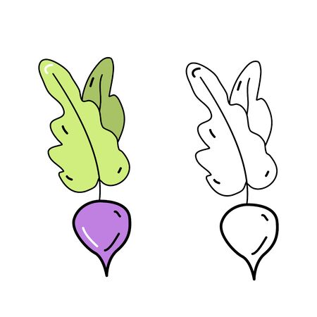 Cute beet pattern in doodle style, healthy food and natural food.のイラスト素材