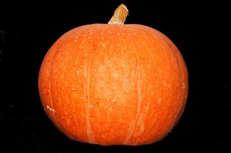 Pumpkin - autumn and halloween symbolの写真素材