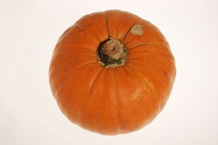 Pumpkin - autumn and halloween symbolの写真素材