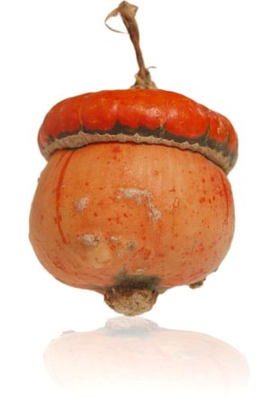 Pumpkin - autumn and halloween symbolの写真素材
