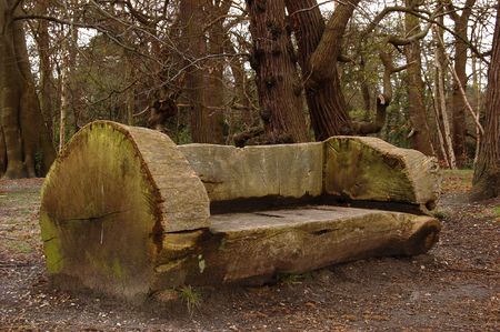 Great empty wooden bench in park. Autumnの写真素材