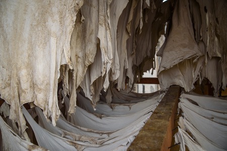 Tannery in the middle of souk in Fez, Morocco.