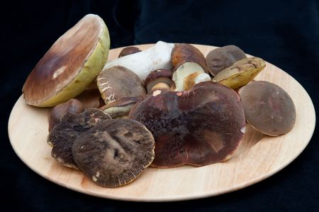 Mushrooms on the plate and black background.の写真素材