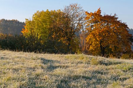 Beautiful autumn morning hoarfrost in the countryside.の写真素材