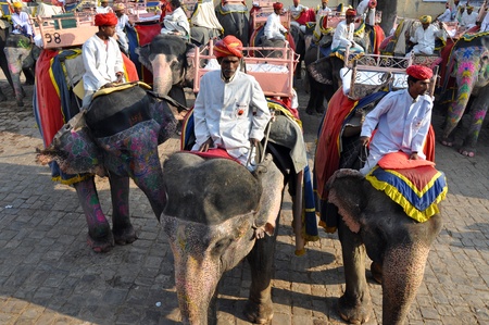 AMBER, INDIA - 4 NOVEMBER, 2009: Indian elephant riders wait for tourists in Amber Fort on November 4, 2009. On the ride, one can see the skyline of Jaipur, Maotha lake, and the original city walls.のeditorial素材