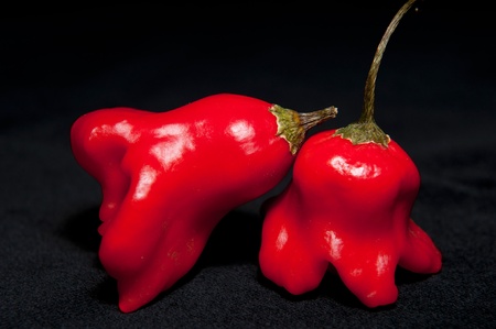Red hot chilli peppers isolated on a black background.の写真素材
