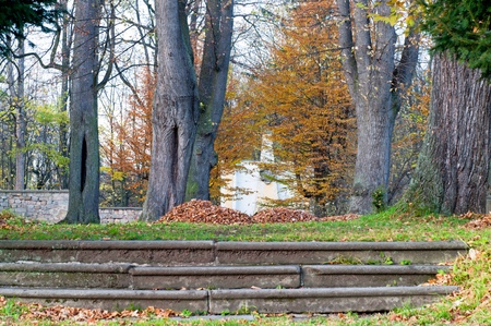 Park during the autumn time, horizontal shot.の写真素材