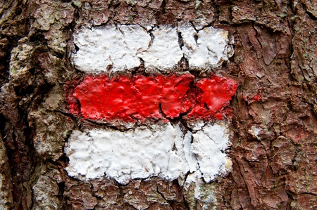 White and red stripe trail sign painted on tree bark.の写真素材