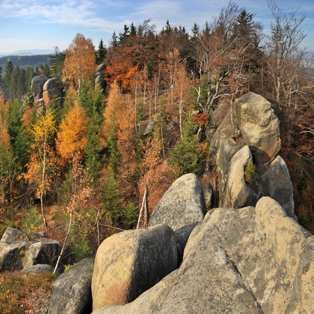 View of a beautiful autumn landscape, square format.の写真素材