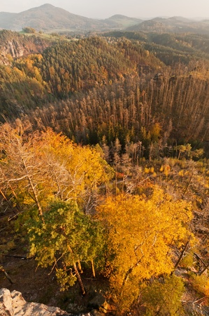 View of a beautiful autumn landscape in Czech-Saxony Switzerland.の写真素材