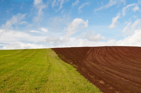 Late summer field during the sunny day.の写真素材