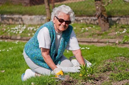 Portrait of a senior woman in a garden.の写真素材