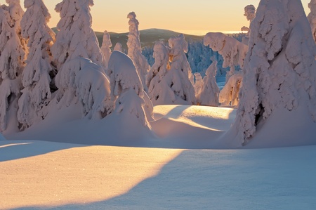 Winter wonderland during the colorful sunrise.の写真素材