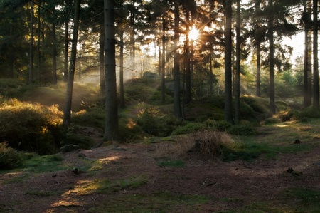 View of beautiful sunbeams during the autumn sunrise.の写真素材