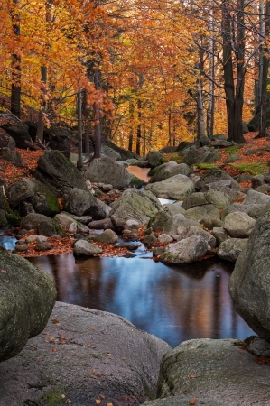View of a beautiful autumn mountain creek.の写真素材