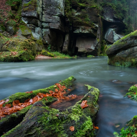 View of a beautiful autumn creek in Czech-Saxony Switzerland, panoramic picture.の写真素材