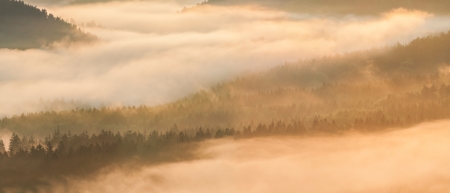 View of a beautiful misty sunrise, panoramic picture.の写真素材