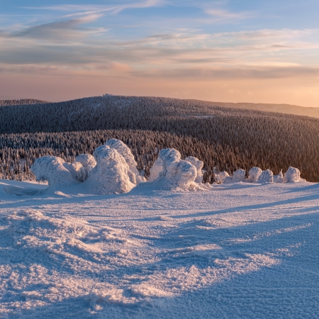 View of winter wonderland during the sunset time, panoramic picture.の写真素材