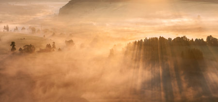 View of a beautiful misty sunrise, panoramic picture.の写真素材