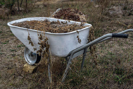 old wheelbarrow serving as flower bed in permaculture gardenの写真素材
