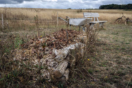 Raised flower bed made of tree trunks in permaculture gardenの写真素材