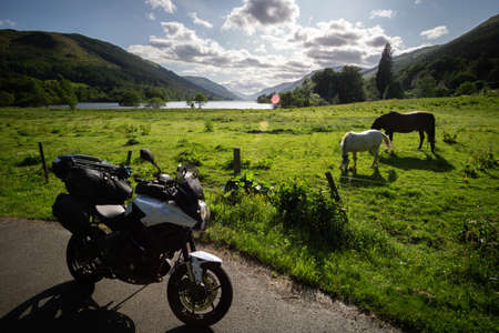Bike in front of horses and grass at Loch Voil Scotland on beautiful sunny dayの写真素材