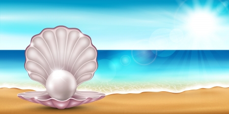 Vector illustration of the sea beach with a beautiful shellsのイラスト素材