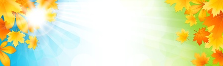 Vector illustration banner with autumn leavesのイラスト素材