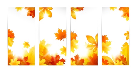 Vector illustration autumn banners with leaves on white backgroundのイラスト素材
