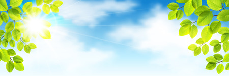 Vector summer illustration with green leaves against the sky and cloudsのイラスト素材