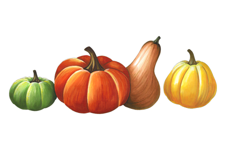 Pumpkins on a white background. Sketch done in alcohol markets. You can use for greeting cards, posters and design projectsの写真素材
