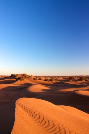 View of sand dunes of Erg Chigaga with clear blue skyの写真素材