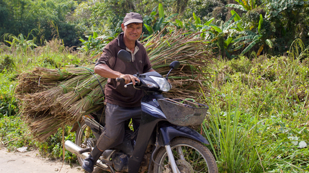 Old man on motorbike with sheaf of grassのeditorial素材