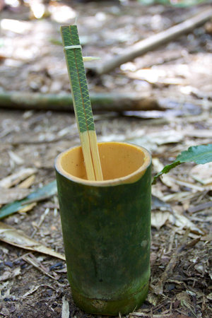 Bamboo cup with chopsticks on forest groundの写真素材