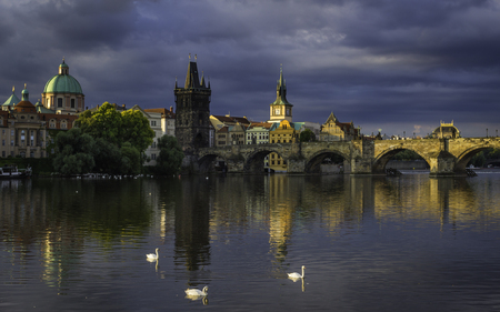 Beautiful view on the Charles bridge on Vltava river with pair of white swans in the front. Gothic bridge with baroque statues.の写真素材