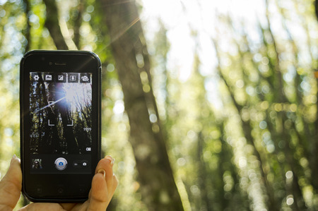 a Selfie in the woodsの写真素材