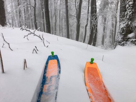 Colorful skitouring ski in winter forest full of snow. Ready for downhill.の写真素材