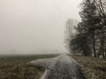 Big snow storm in winter. There are some trees and the field beside of the road.の写真素材