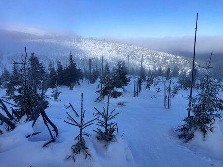 Cloudy weather with clouds and sun in winter mountains. Very windy. A lot of snow, forest full of trees. Nice winter landscape with horizon and clouds.の写真素材