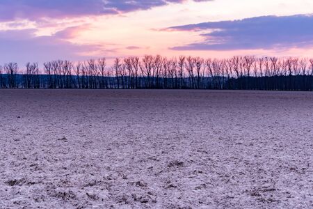 Pink setting sun above line of trees with field in foregroundの写真素材