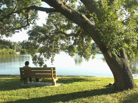 Beautiful spring morning by the water in Tampa Florida.の素材