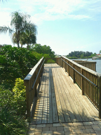 Wooden deck by the water Tampa Floridaの素材