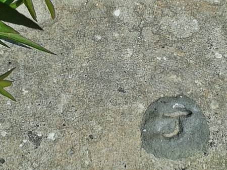 The letter J etched in stoneの素材