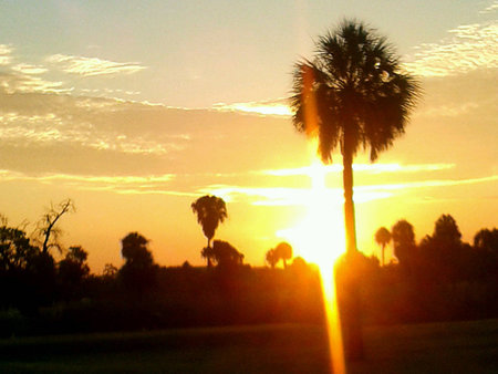 Beautiful sunrise over golf course in Tampa wの素材