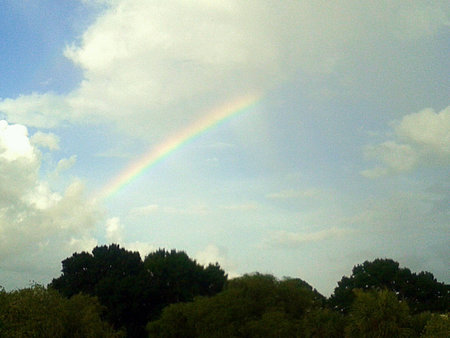 Beautiful colorful rainbow in the sky in Tampa Floridaの素材