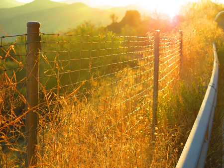 Sunshine on roadside verge and crash barrierの写真素材