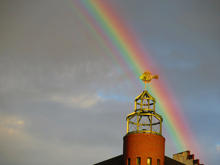 Weathercock in the shape of a fish on an apartment house on St. Pauli Fischmarkt in Hamburg, Germanyの写真素材