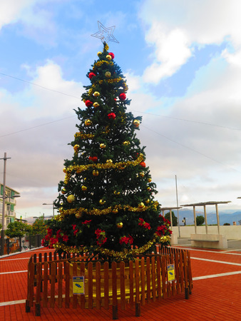Decorated christmas tree in brick laid park in Alora, Andaluciaの写真素材